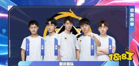 限规定的影