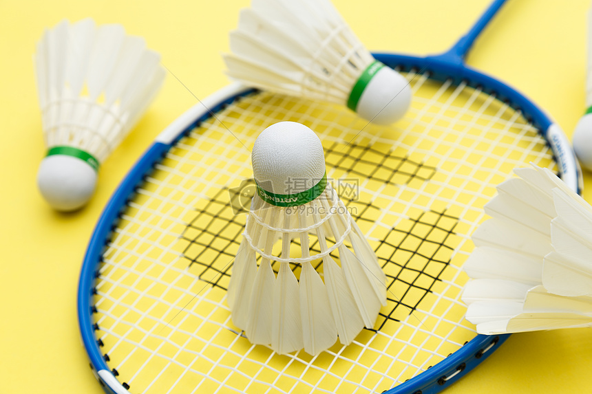 近期的一组 近期的一组