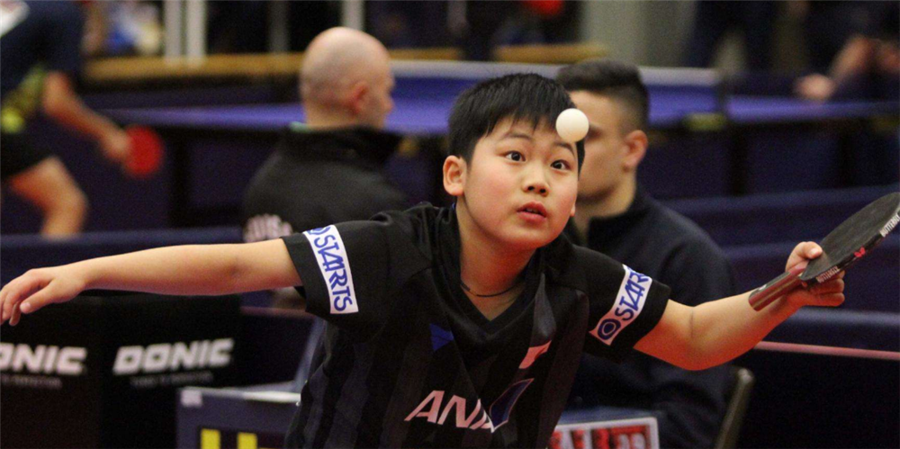 动的爱好者 动的爱好者